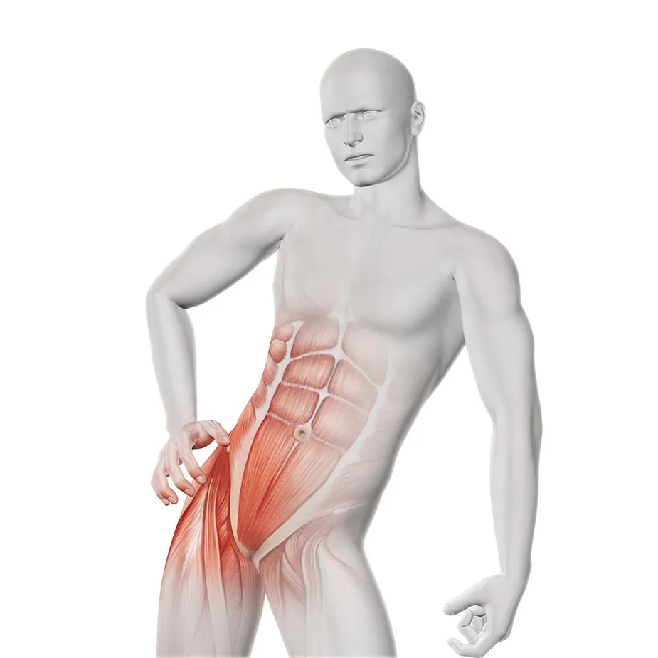 3D prikaz osobe koja ima problema sa bolom u preponama